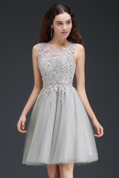 Chic Crew Neck Lace Tulle Short Homecoming Dress Sleeveless Appliques Mini Party Dress - Silver / US 2 - Prom Dresses