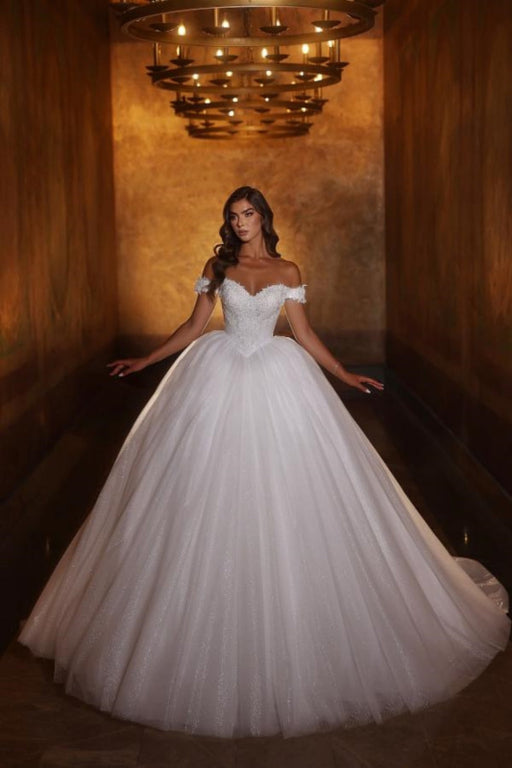 Elegant Off-the-Shoulder Appliques Lace A-Line Tulle Lace Wedding Dress