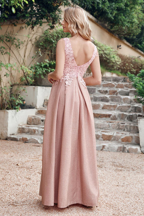 Gorgeous Aline Evening Dress Sleeveless Lace Appliques Bridesmaid Dress - Prom Dresses