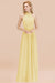 Bridelily Gorgeous High-Neck Halter Backless Bridesmaid Dress Dusty Rose Chiffon Maid of Honor Dress