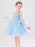 Flower Girl Dresses Jewel Neck Tulle Sleeveless Short Princess Kids Social Party Dresses