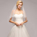 3M Two Layer Lace Edge Face Covered Wedding Veils | Bridelily - wedding veils
