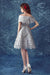 A Line the Silver Gray Homecoming Dress Short Off Shoulder Prom Gown - Prom Dresses