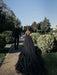 Black Wedding Dresses Tulle A-Line V-neck Long Sleeves Backless Natural Waist Lace Royal Train Bridal Gown
