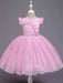 Blue Teenage Girls Dress Summer Children Party Elegant Princess Long Tulle Baby Girls Kids Lace Wedding Ceremony Dresses