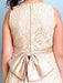 Flower Girl Dresses Champagne Golden Jewel Neck Sleeveless A Line Lace Kids Party Dresses