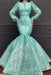 Chic Lace High Neck Long Sleeve Mermaid Prom Dresses - Prom Dresses