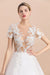 Chic Lace Tulle A-line Short Sleeve Wedding Dress - Wedding Dresses
