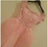 Coral Prom Dresses Mermaid Lace Long Evening Gowns - Prom Dresses