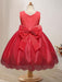 Flower Girl Dresses Jewel Neck Sleeveless Embroidered Kids Party Dresses