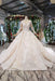 Princess Sleeves Sheer Neck Ball Gown Lace Long Wedding Dress - Wedding Dresses