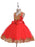 Flower Girl Dresses V-Neck Tulle Short Sleeves Knee Length Princess Silhouette Embroidered Kids Party Dresses