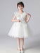 Flower Girl Dresses Light Sky Blue Designed Neckline Tulle Sleeveless Knee-Length A-Line Embroidered Kids Social Party Dresses