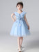 Flower Girl Dresses Light Sky Blue Designed Neckline Tulle Sleeveless Knee-Length A-Line Embroidered Kids Social Party Dresses