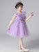 Flower Girl Dresses Light Sky Blue Designed Neckline Tulle Sleeveless Knee-Length A-Line Embroidered Kids Social Party Dresses
