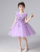 Flower Girl Dresses Light Sky Blue Designed Neckline Tulle Sleeveless Knee-Length A-Line Embroidered Kids Social Party Dresses