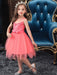 Flower Girl Dresses Designed Neckline Sleeveless Embroidered Kids Social Party Dresses