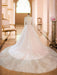 wedding dresses 2021 a line v neck long sleeve lace applique tulle bridal gowns with chapel train