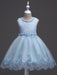 White Flower Girl Dresses Tutu Kids Dinner Party Dresses Lace Applique Pearls Tassels Princess Social Dresses