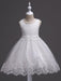 White Flower Girl Dresses Tutu Kids Dinner Party Dresses Lace Applique Pearls Tassels Princess Social Dresses